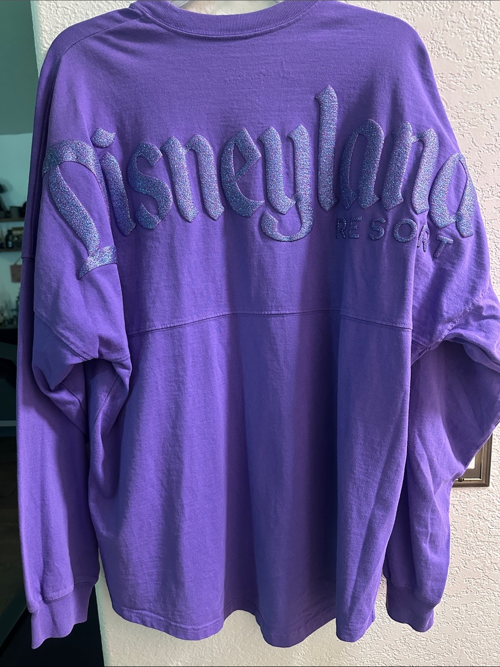 Women’s Purple Disneyland Park Spirit Jersey